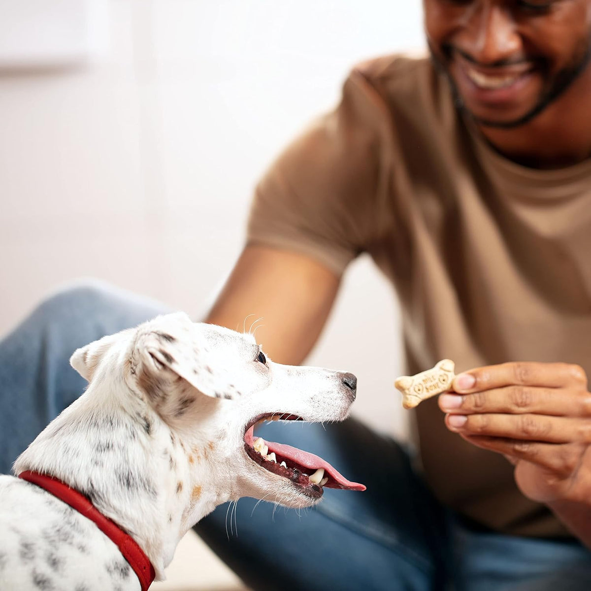 Milk-Bone Original Dog Treats Biscuits for Medium Dogs, 10 Pound