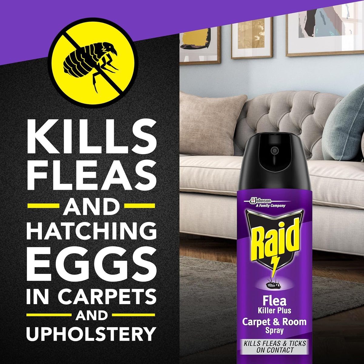 Raid Flea Killer Carpet & Room Spray, Kills hatching eggs for up to 4 months, 16 Oz
