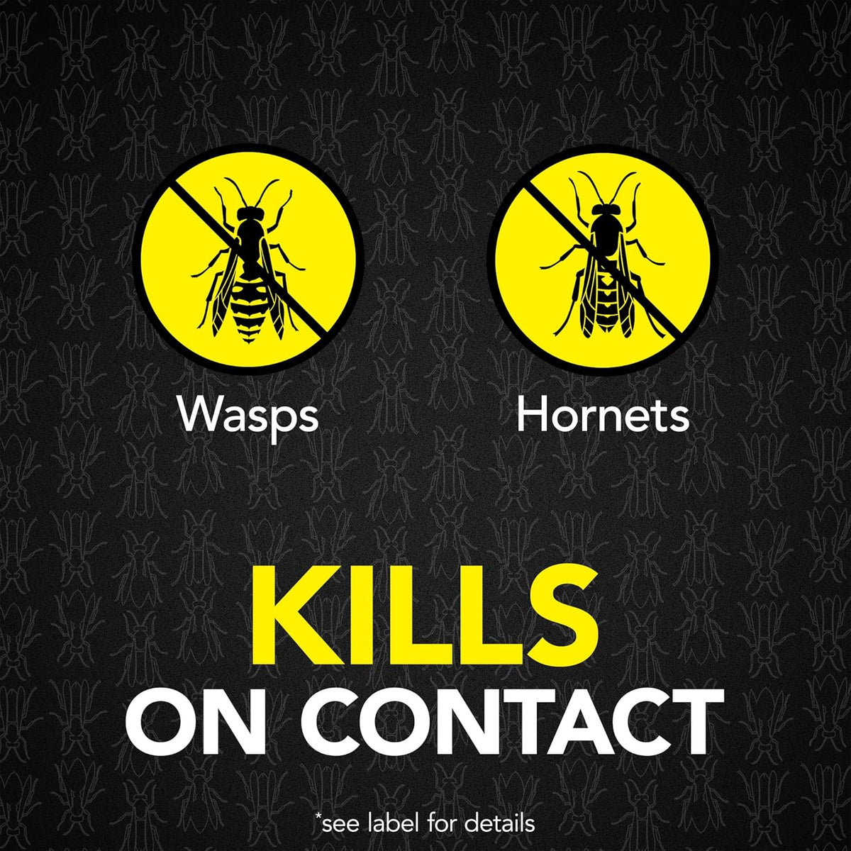 Raid Max Foaming Wasp & Hornet Killer, Fast Coverage Foam, Bug Killer Kills The Entire Nest, 16.5 oz