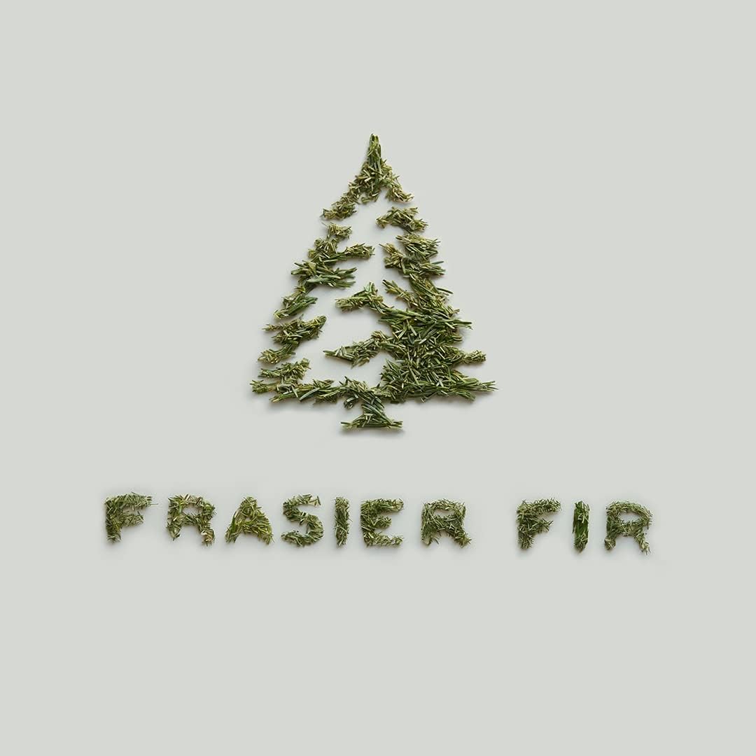 Thymes Frasier Fir Pine Needle Candle – Holiday Candles for Home Scented with Notes of Crisp Siberian Fir, Cedarwood & Sandalwood – Decor – Gifts for Women & Men (6.5 oz)