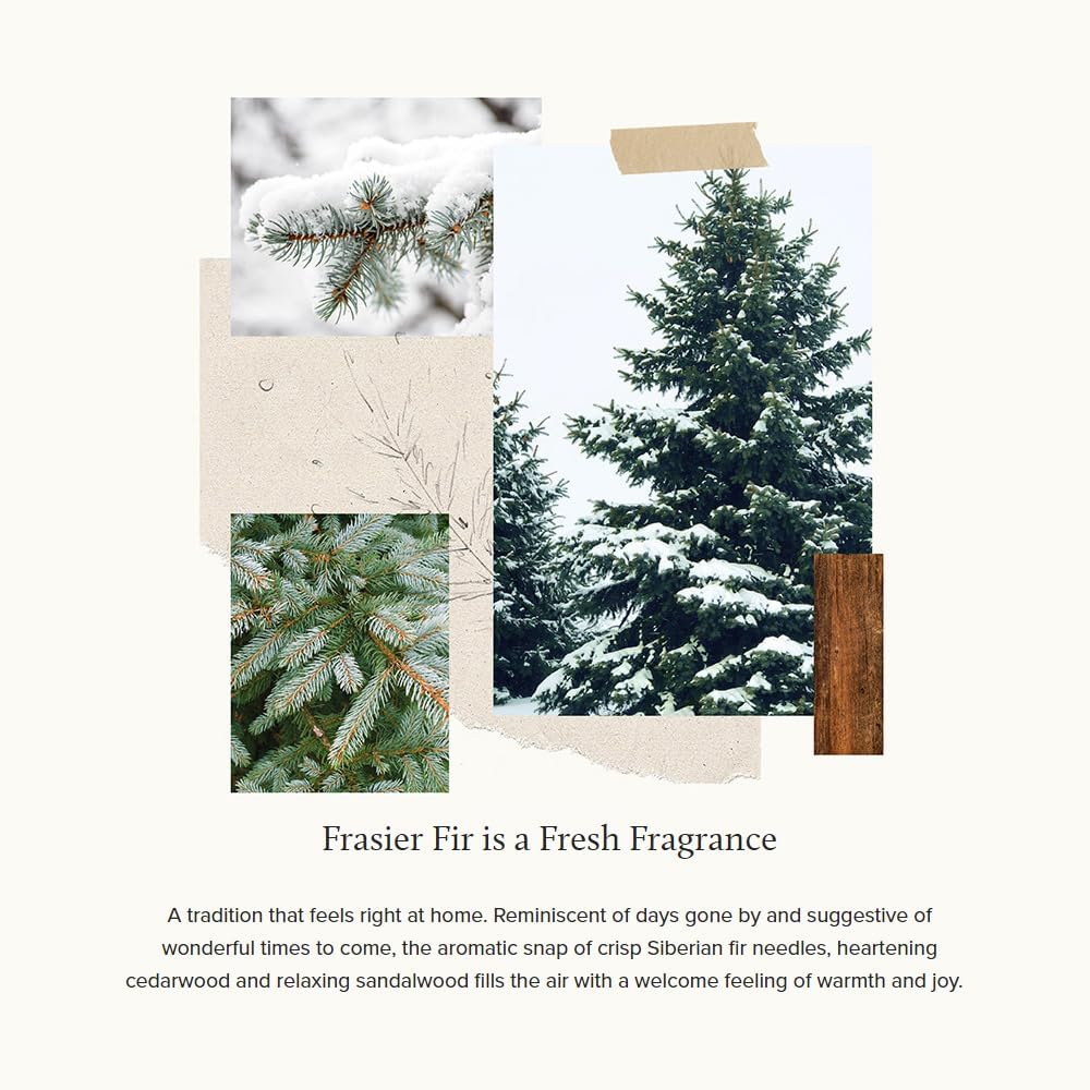 Thymes Frasier Fir Pine Needle Candle – Holiday Candles for Home Scented with Notes of Crisp Siberian Fir, Cedarwood & Sandalwood – Decor – Gifts for Women & Men (6.5 oz)