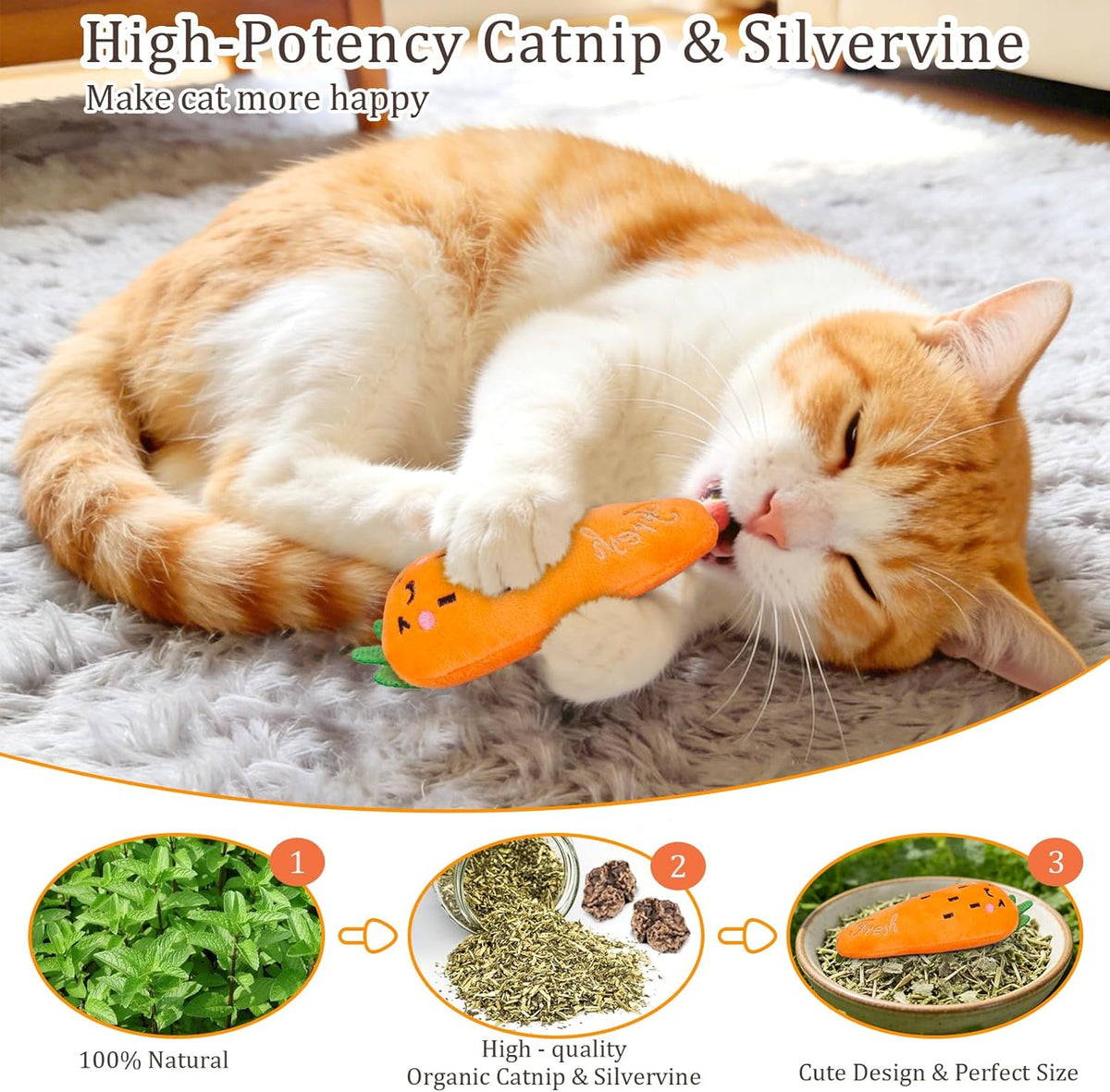 5 Pack Catnip Toys - Natural Catnip & Silvervine Inside Plush Cat Kicker Toys for Teeth Cleaning, Fun Vegetable Shape Interactive Chew Toys for Indoor Cats & Kittens