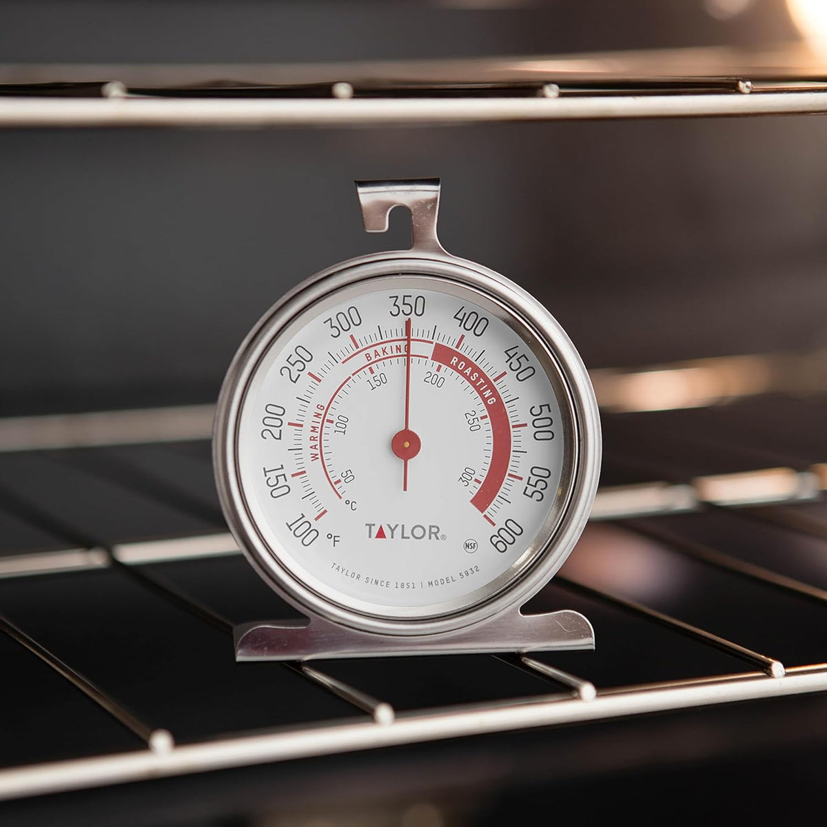 Taylor Precision Products Large Dial Thermometer, Silver