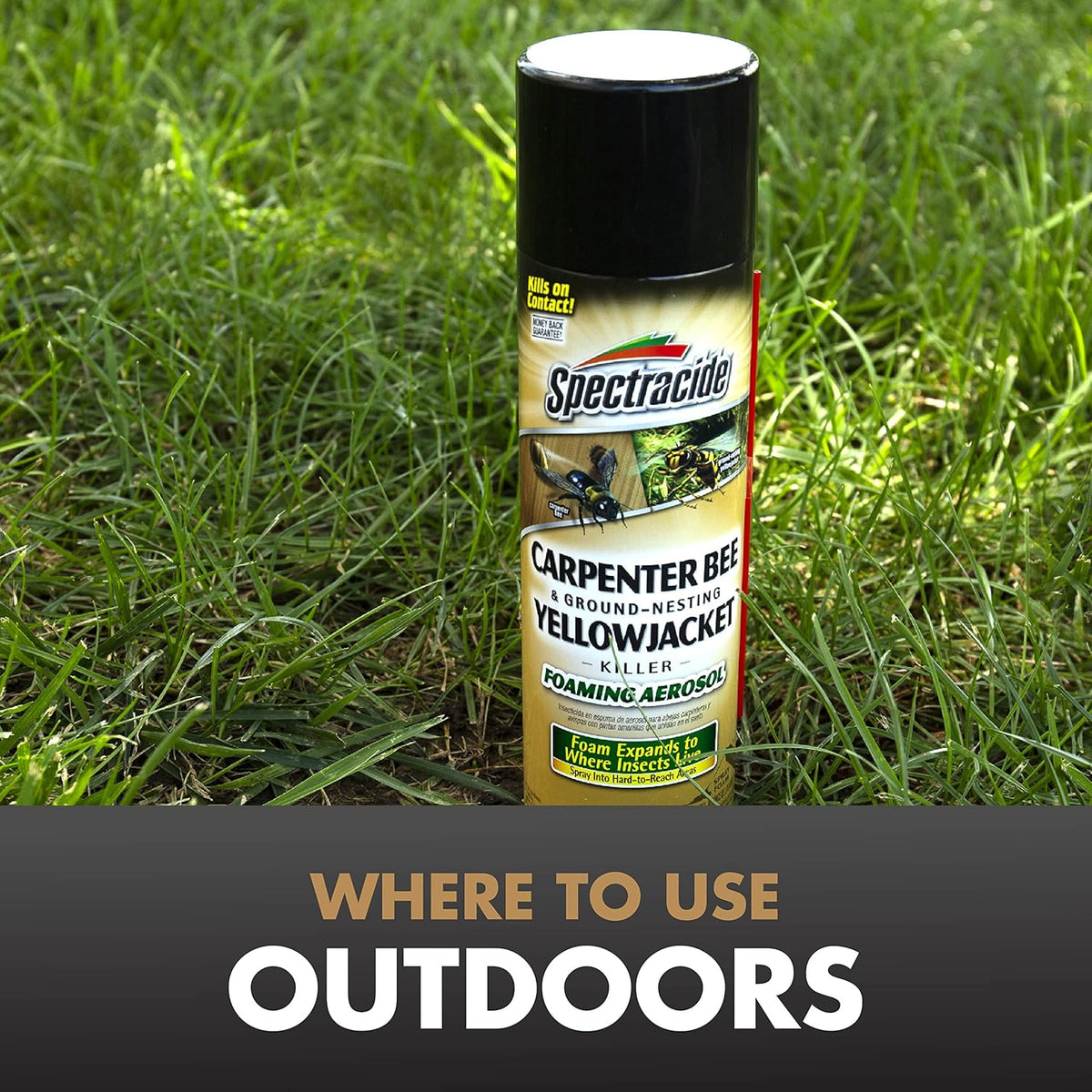 Spectracide Carpenter Bee and Ground Nesting Yellow Jacket Foaming Aerosol, 16-Ounce